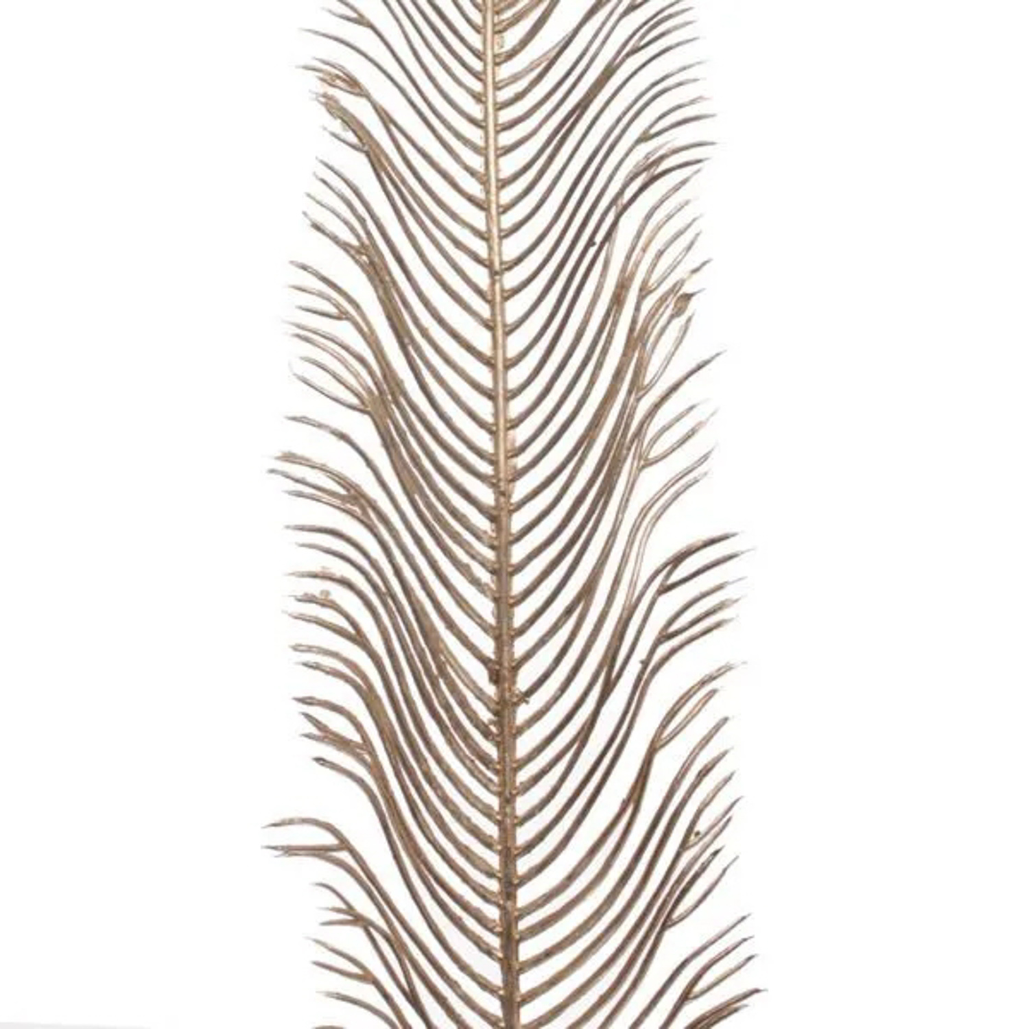 Ветка декоративная "Волшебное перо" 53 см, Шампань