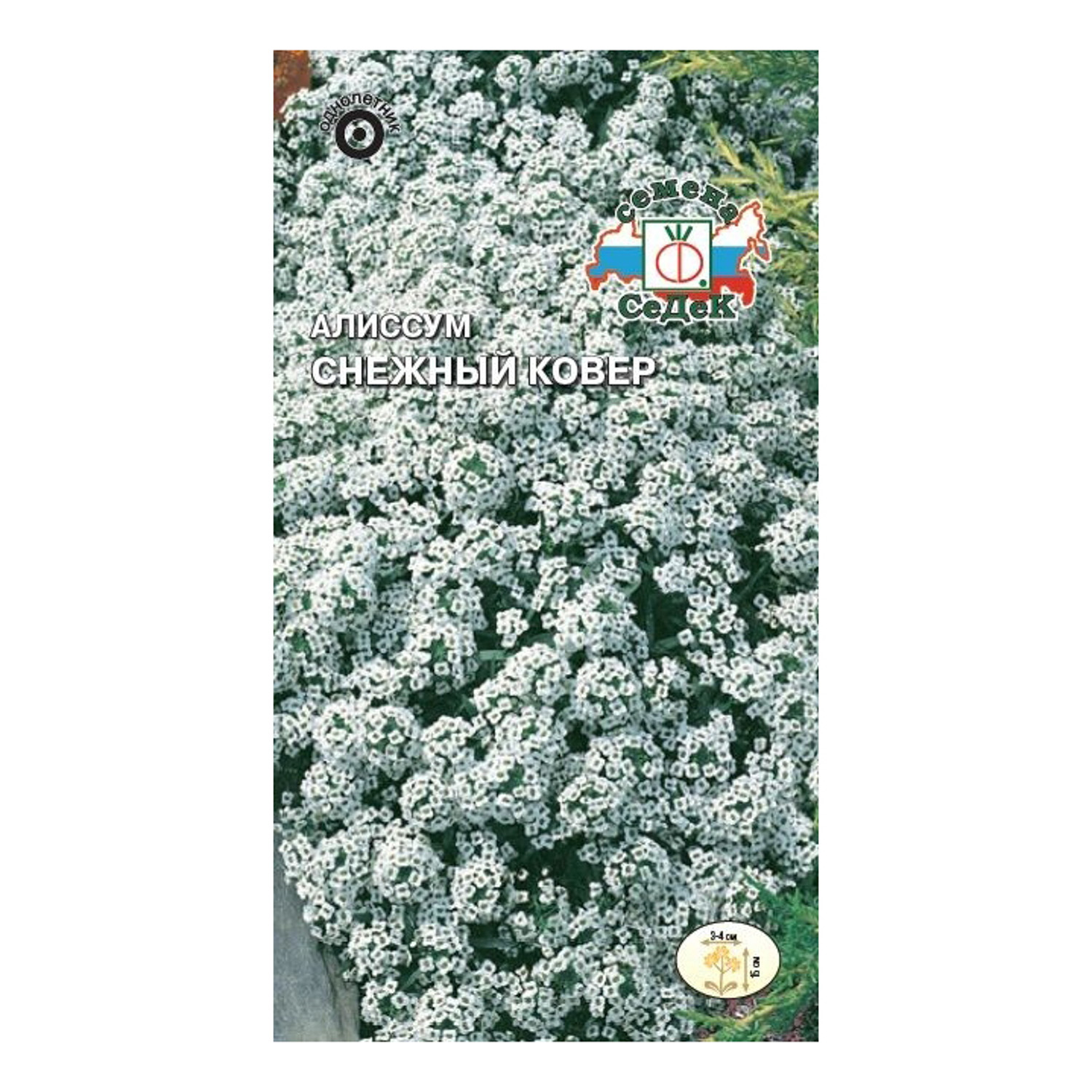 Семена Алиссум морской Снежный ковер  0,1гр СеДеК *10/200 Семена Алиссум морской Снежный ковер  0,1гр СеДеК *10/200