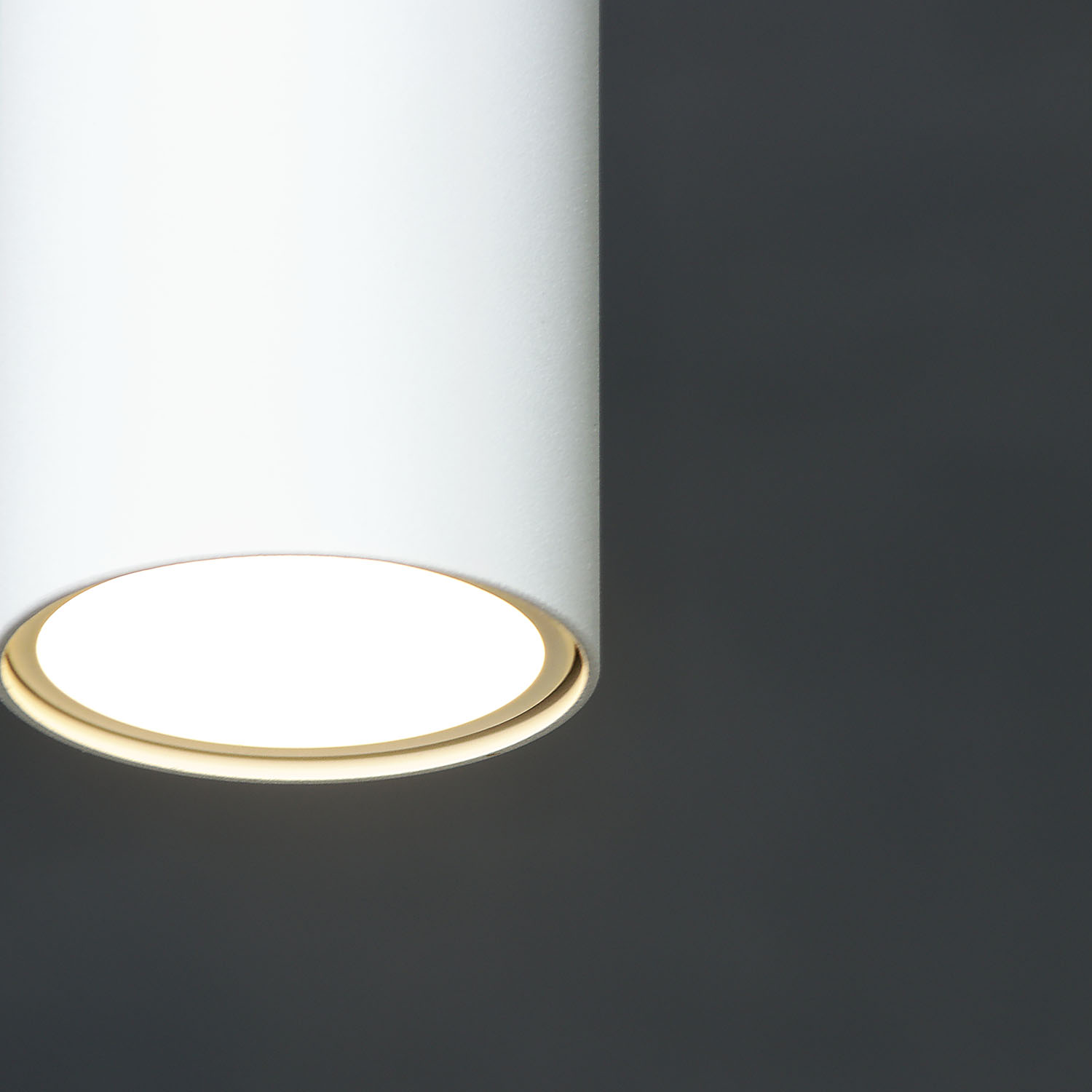 Светильник подвесной (спот) NFS-P-001-01 GU10 93353  *1/50 Светильник подвесной (спот) NFS-P-001-01 GU10 93353  *1/50