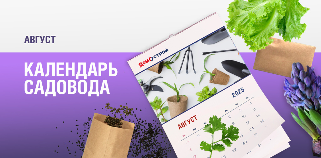 Новость внутри _1500х738 (6).jpg