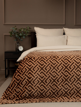 Плед 150*200см фланель коричневый TF FNJPc BR5-BE11 1520 Absolute *1