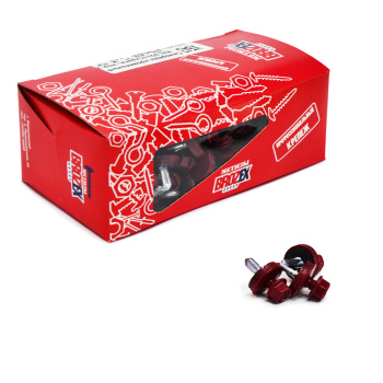 Саморезы кровельные BROZEX коробка 5,5*19 (100шт) RAL 3011 красн-корич *6