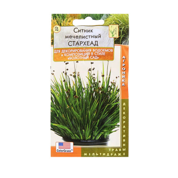 Семена цветов Ситник мечелистный СтарХеад, Мн, мультидраже 3 шт 2733927