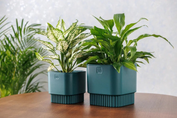 Кашпо пластм. "Бостон" 2,7л 153х153мм h147мм со вставкой Изумруд АМБ-2,7-20 ("VipSet") *1/10