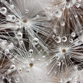 Плитка декоративная Belani Джерси, 300х600 мм, белый