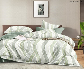 Постельное белье евро поплин на резинке Орхидея 6704, наволочки 70*70 - 2шт *1/4