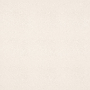 Обои  флиз "Антураж" NIAGARA фон AN9027-11  10*1,06м *6